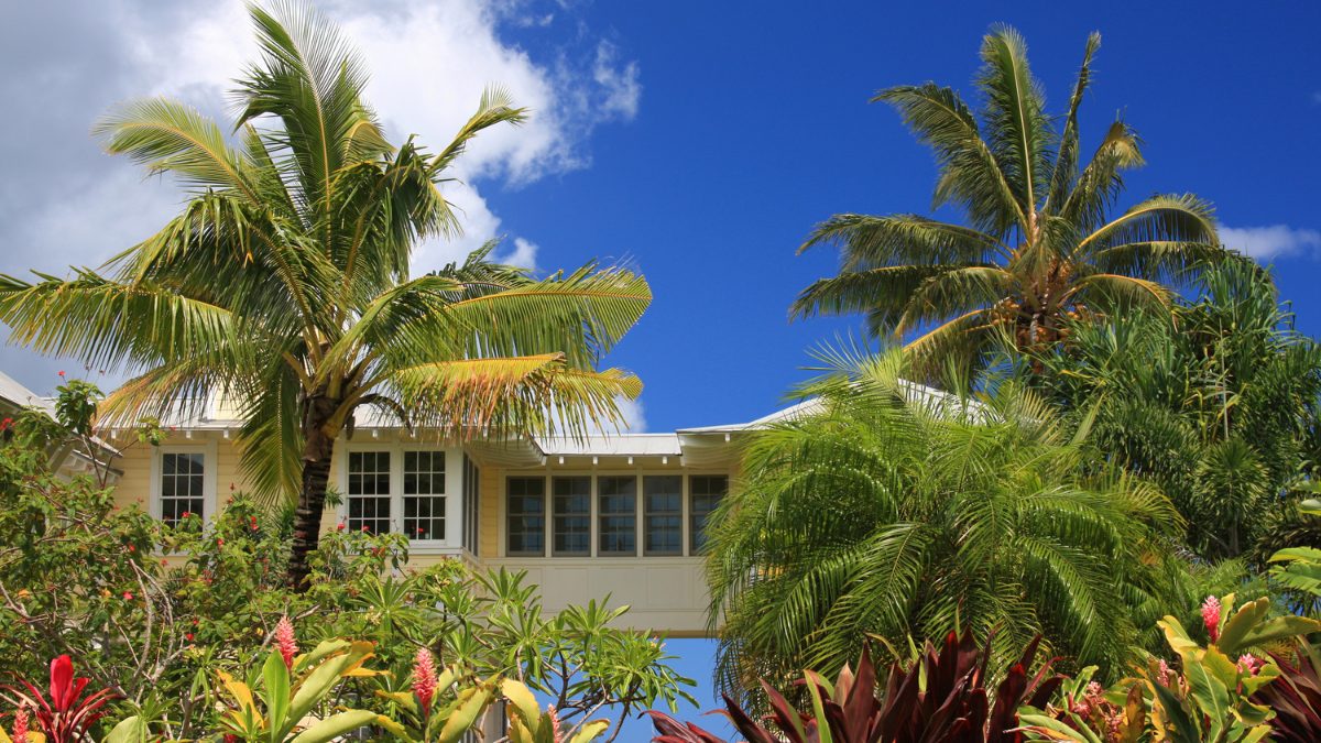 Tropical Oʻahu home surrounded by lush native plants, palm trees, and a bright blue sky.